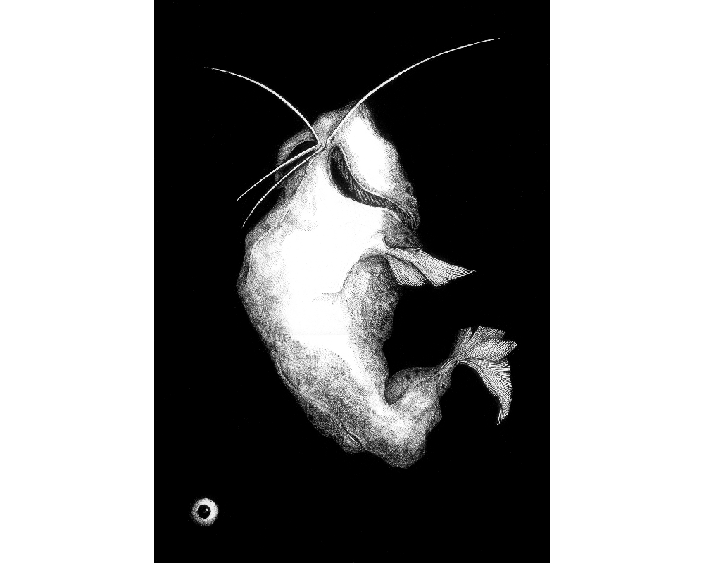 etching_8