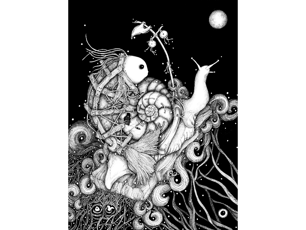 snail_salyangoz
